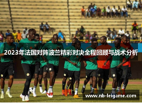 2023年法国对阵波兰精彩对决全程回顾与战术分析